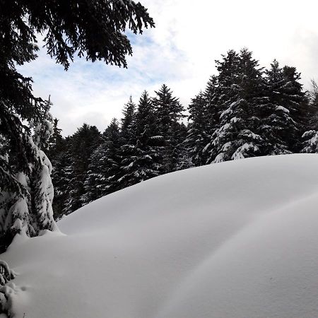 Pyrenees - Le Nid D'Ax Daire Ax-les-Thermes Dış mekan fotoğraf