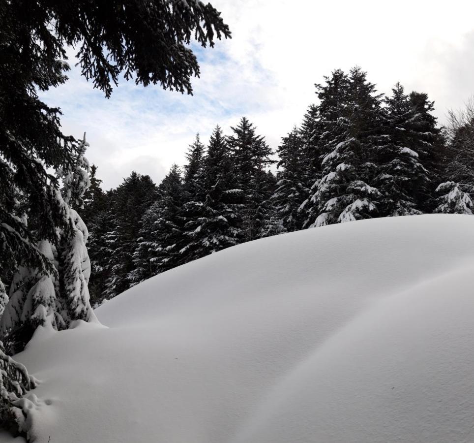 Pyrenees - Le Nid D'Ax Daire Ax-les-Thermes Dış mekan fotoğraf
